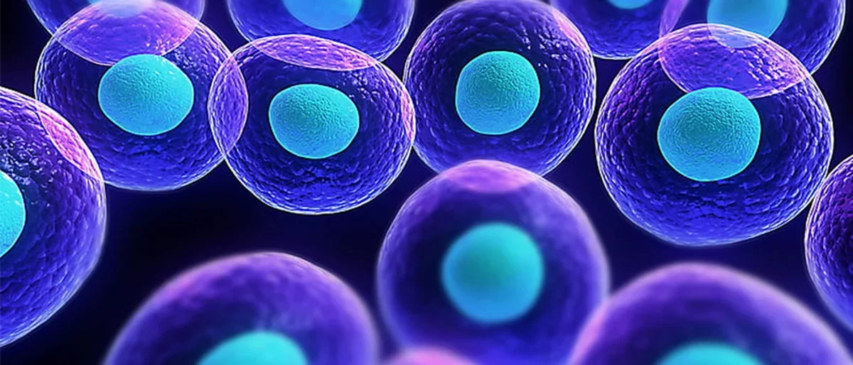 Illustration of multiple cells