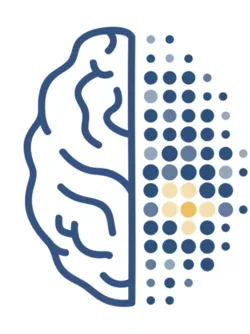 Illustration of a brain with circles on the right hemisphere